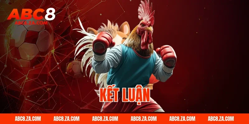 Kết luận